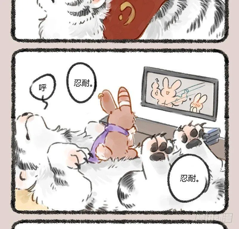 白虎也是喵~ 第7页