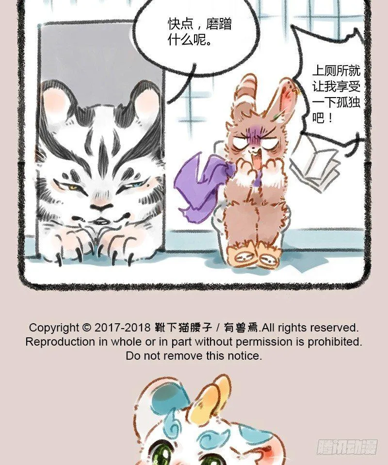 白虎也是喵~ 第9页