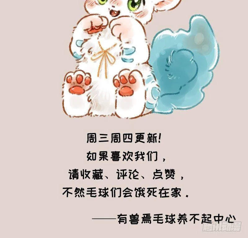 白虎也是喵~ 第10页