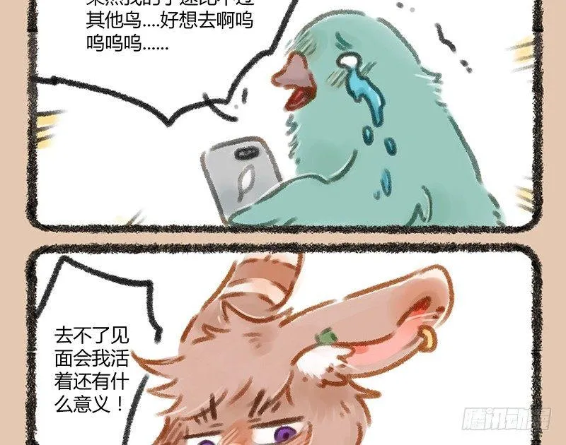 爱豆的票 第3页