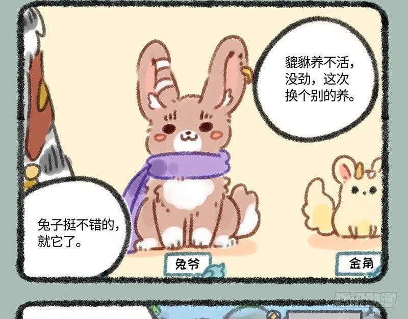 家养神兽惹人怜 第3页