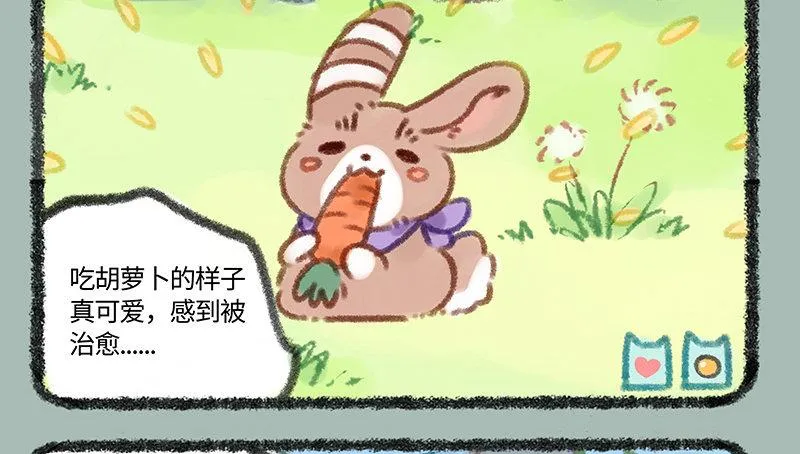 家养神兽惹人怜 第5页