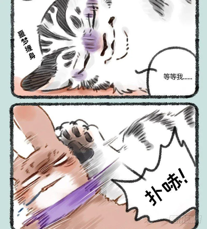 寄兽篱下 第8页