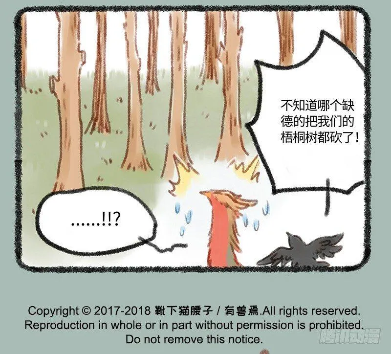 给爱豆的，一定是最好的 第11页