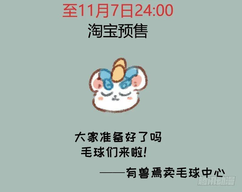 给爱豆的，一定是最好的 第13页