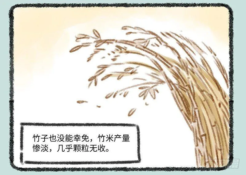 真香 第5页