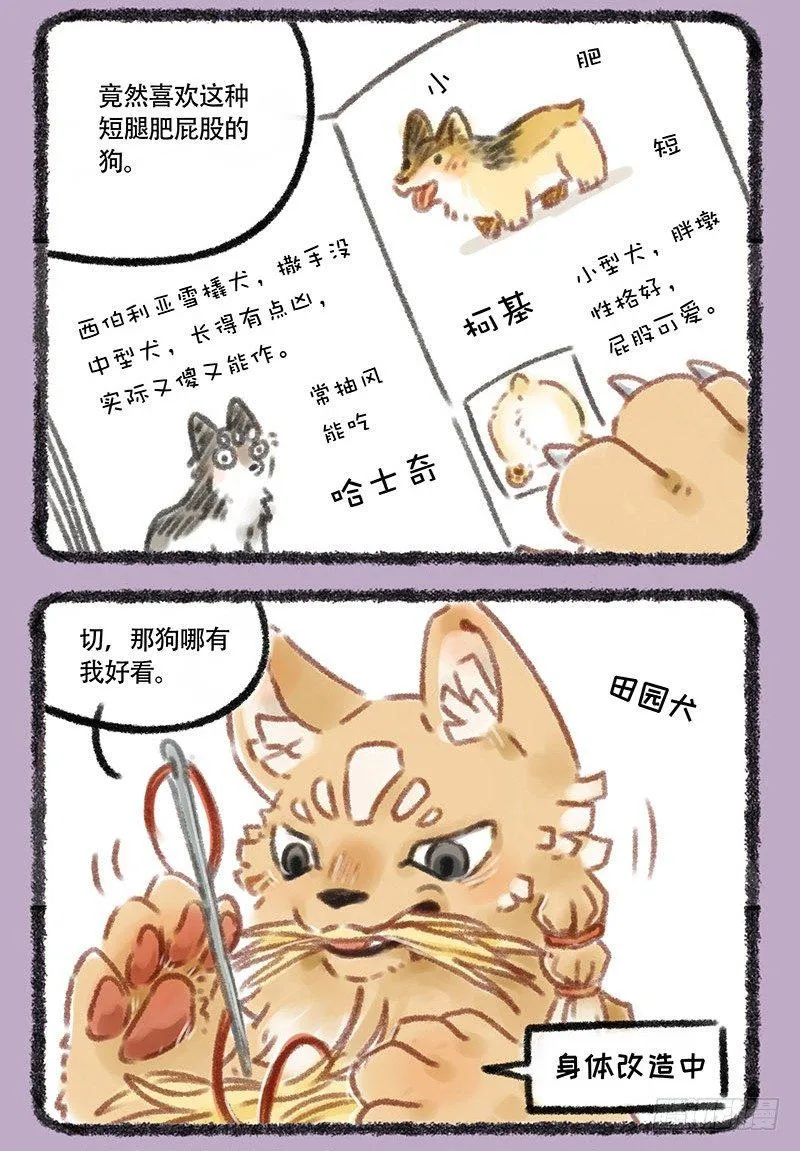 草编狗 第2页