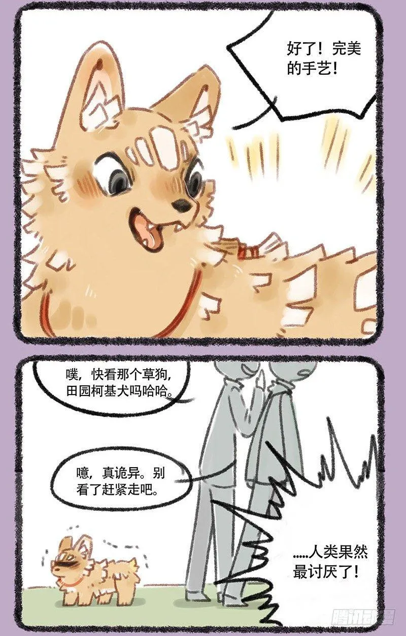 草编狗 第3页
