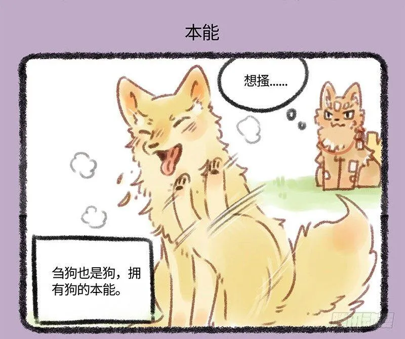 草编狗 第4页