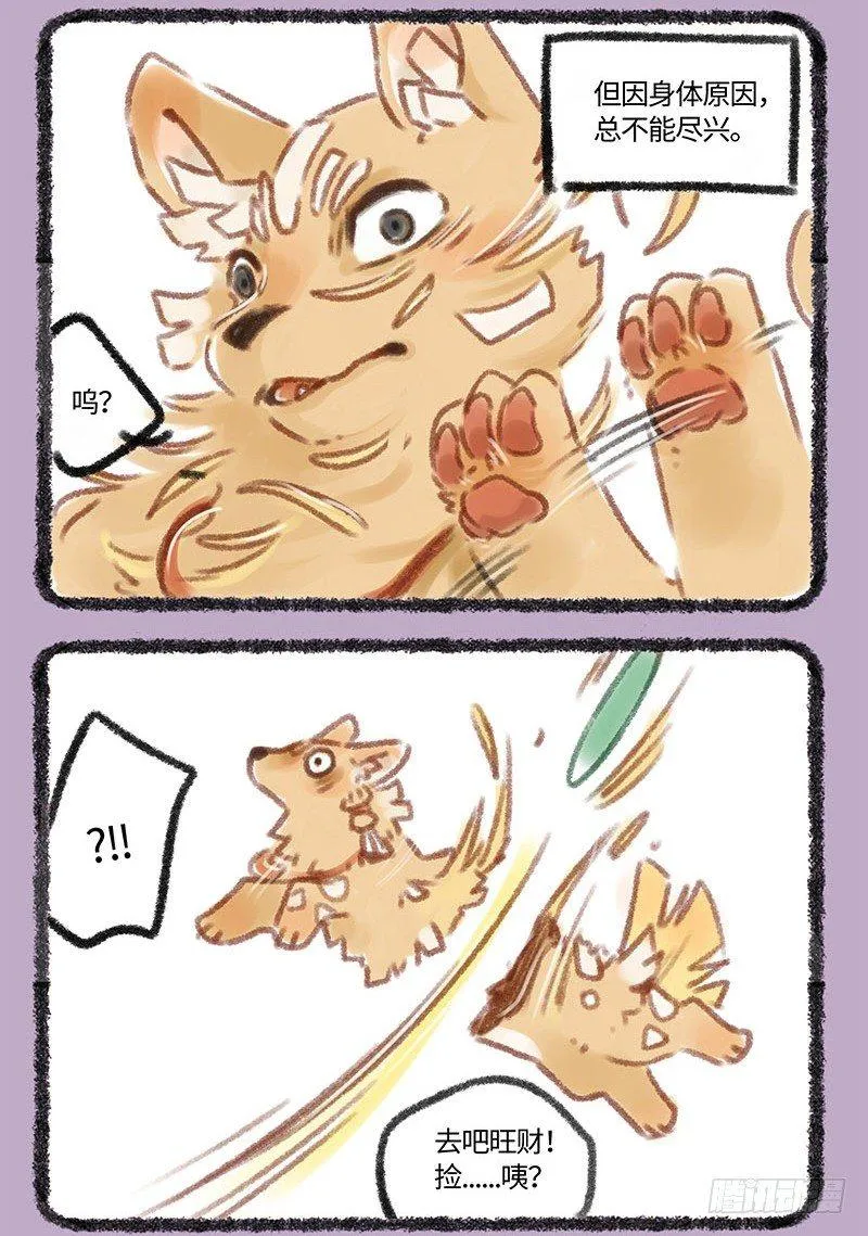 草编狗 第5页