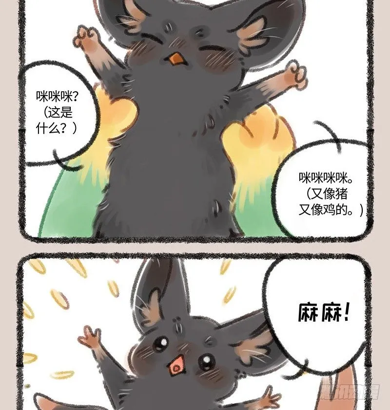 梅开二度 第6页