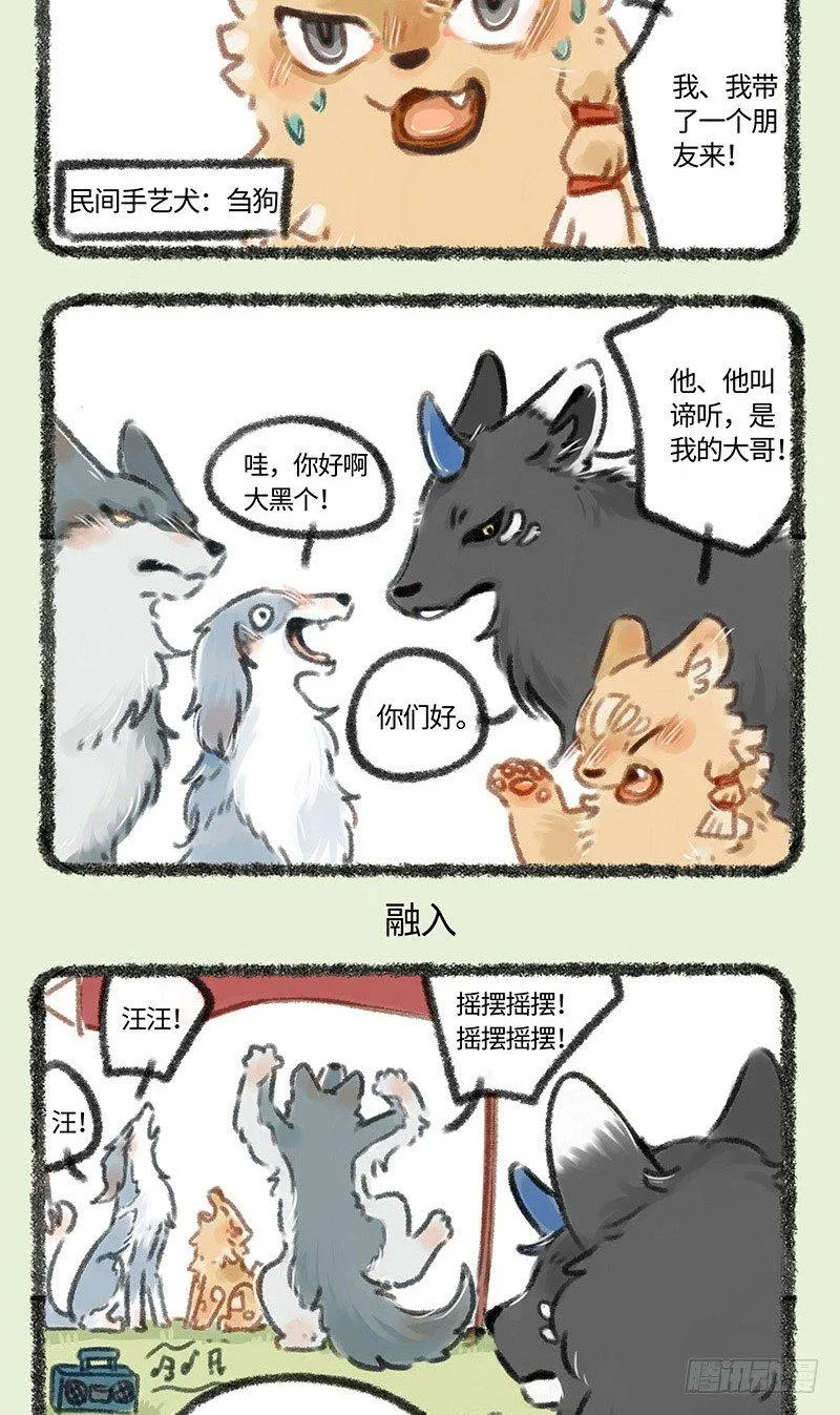 撒浪嗨狗狗聚会 第3页