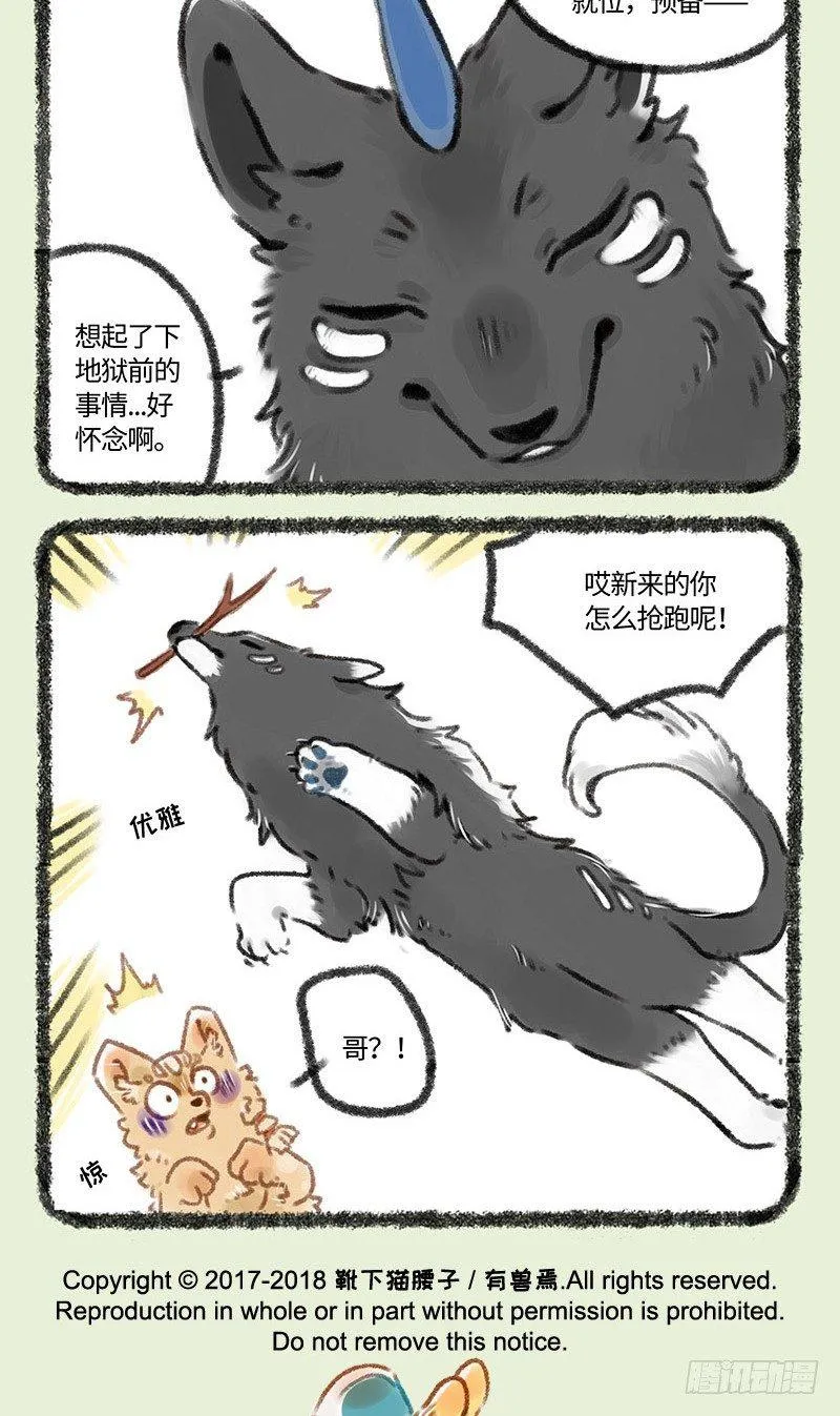 撒浪嗨狗狗聚会 第5页