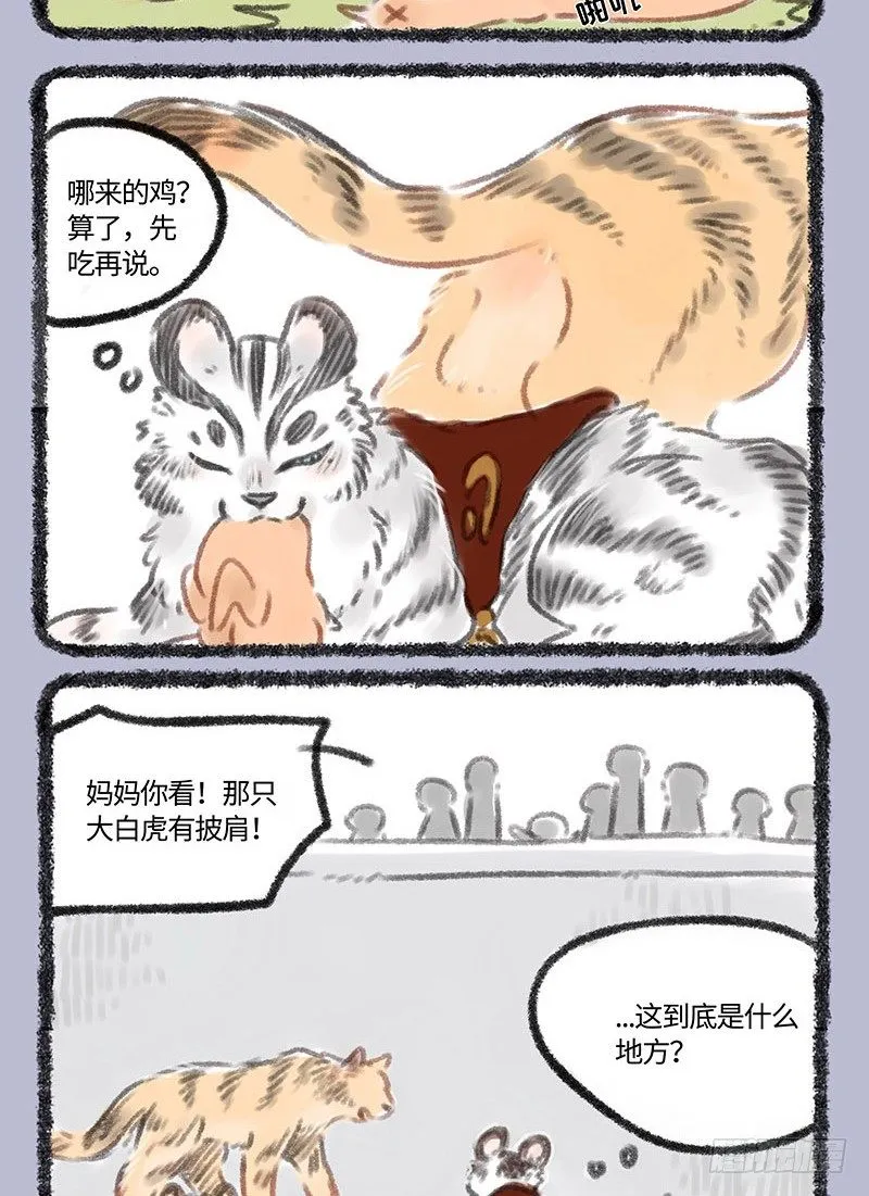 战虎出现！ 第3页