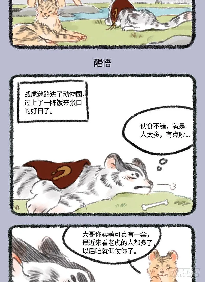 战虎出现！ 第4页