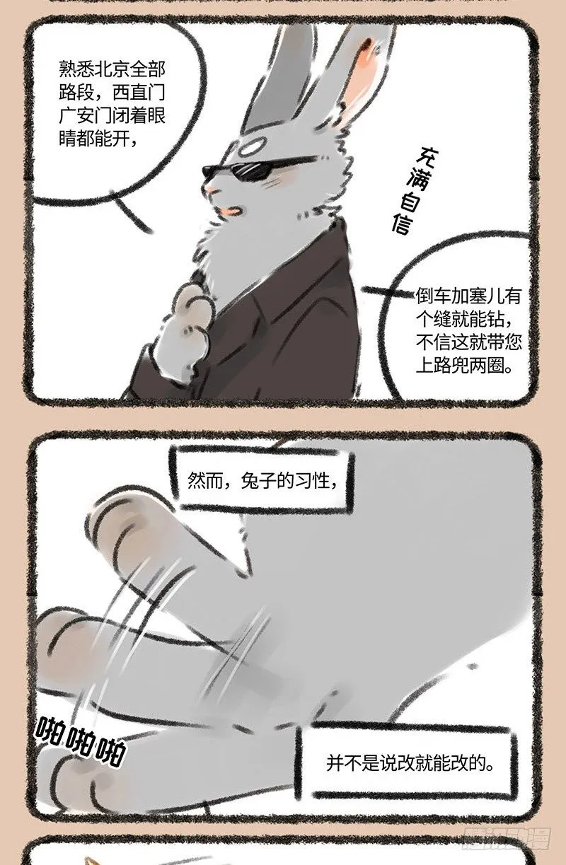 兔子不开车 第5页