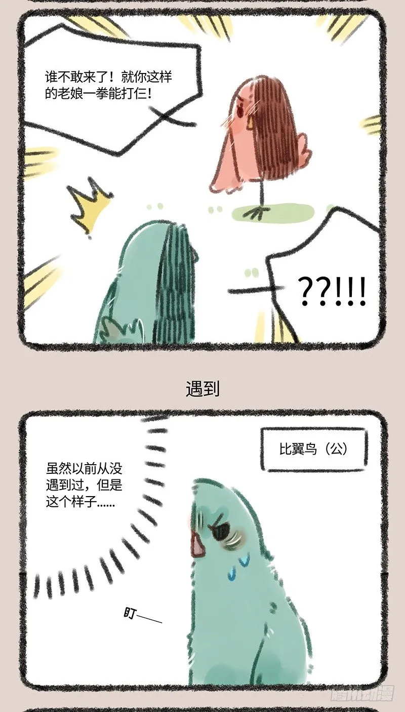 偶遇对家粉丝 第3页