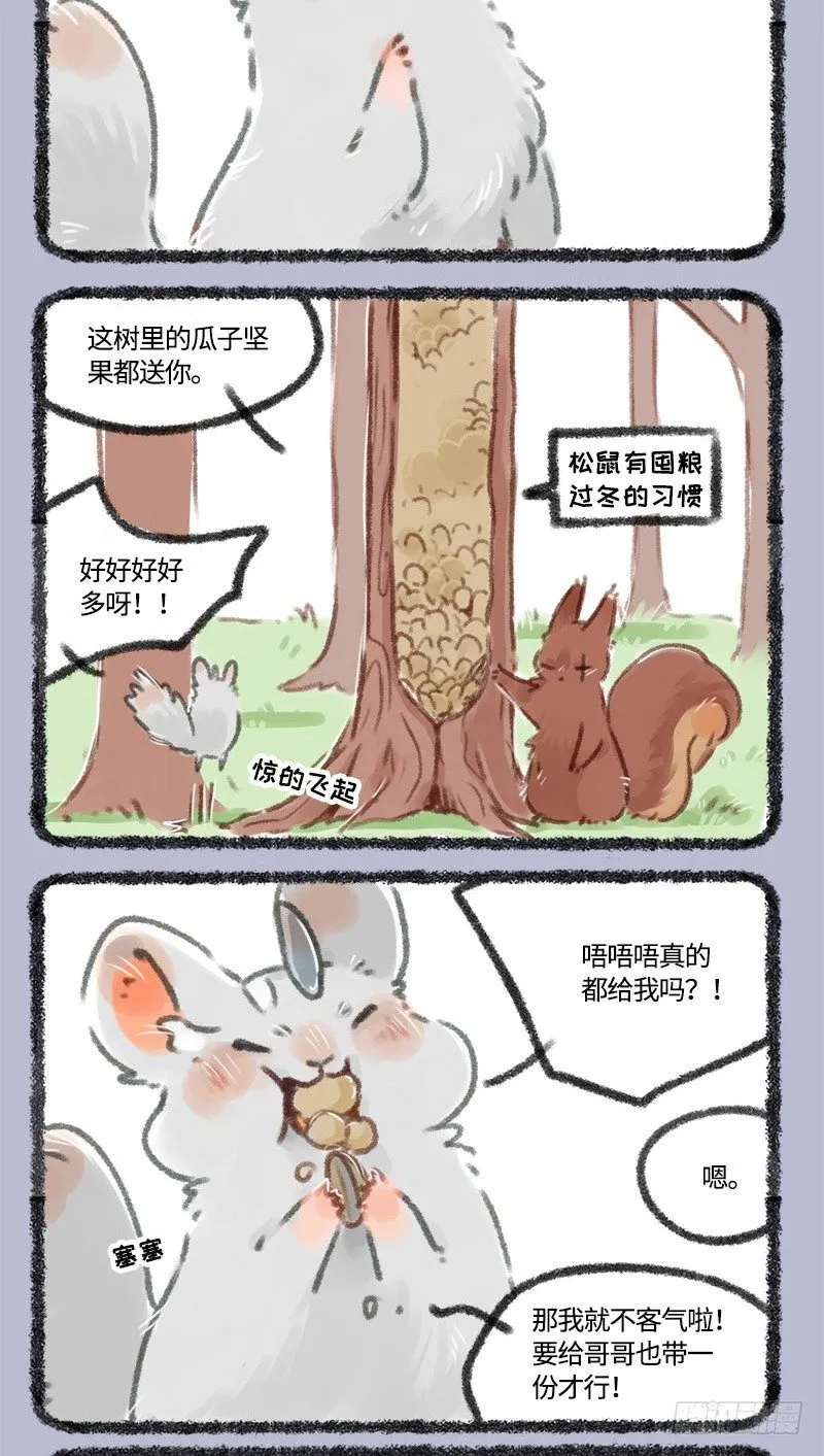 大松鼠的宝贝 第2页