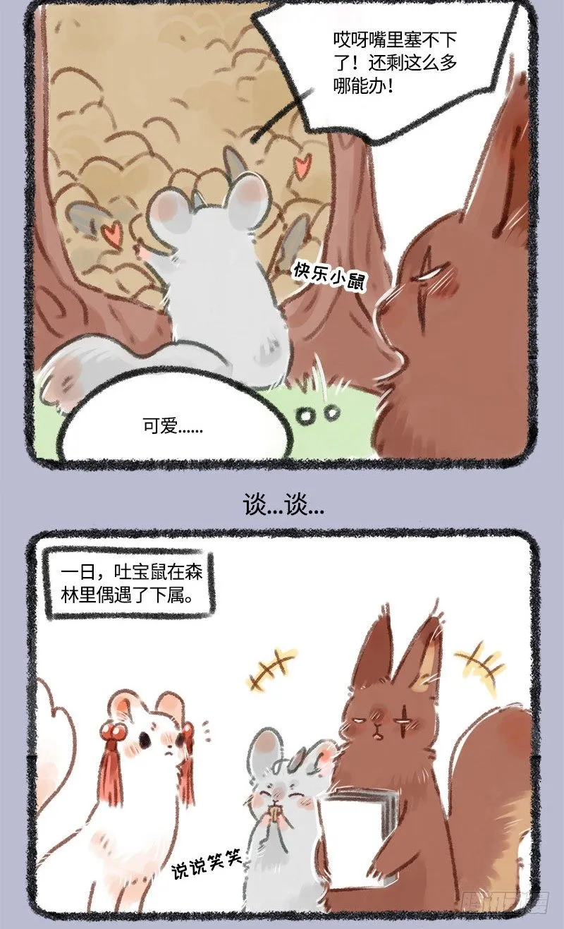 大松鼠的宝贝 第3页