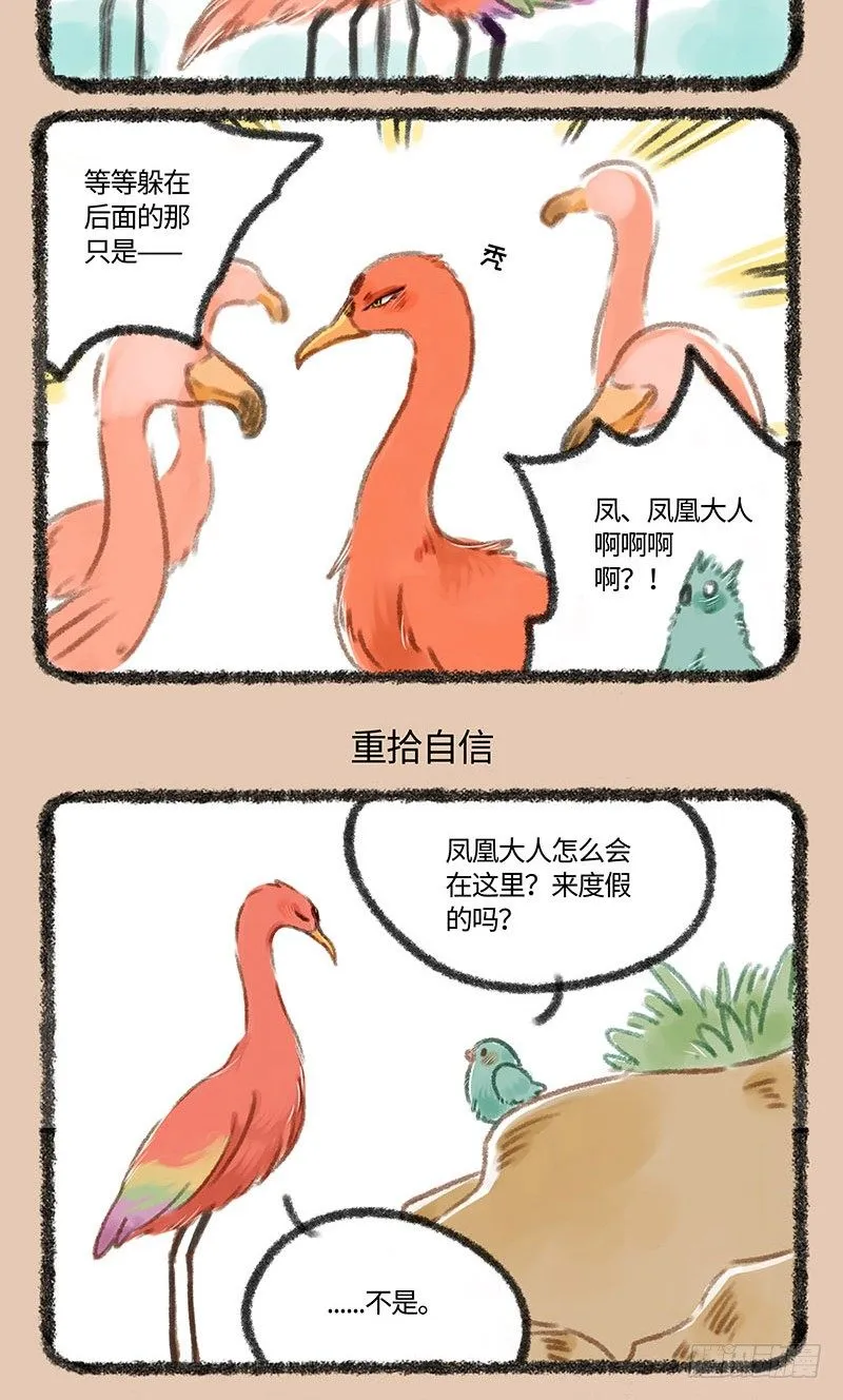 秃了 第3页