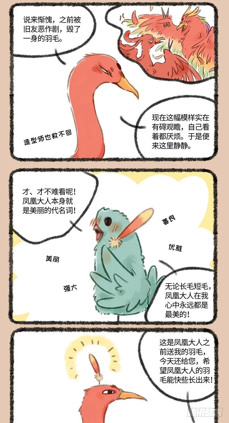 秃了 第4页