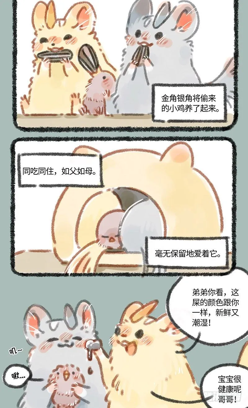 养鸡！ 第4页