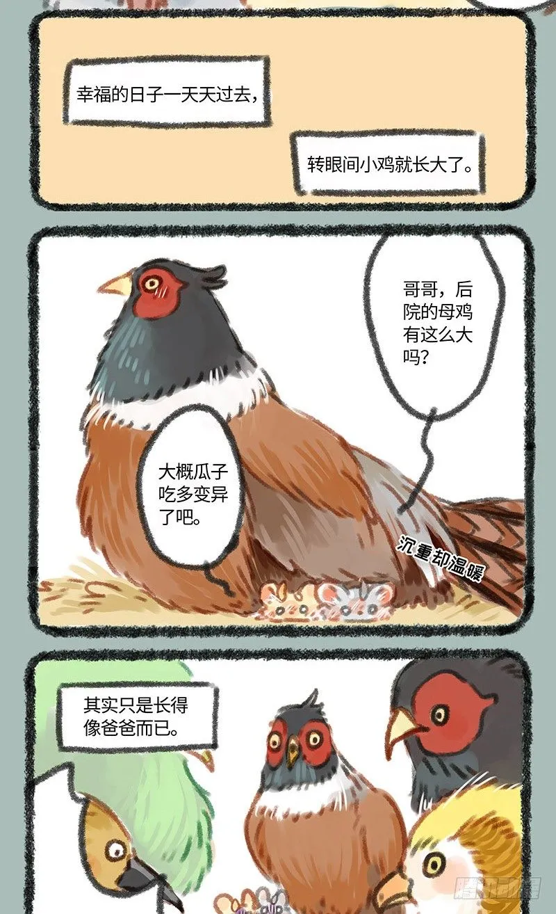 养鸡！ 第5页