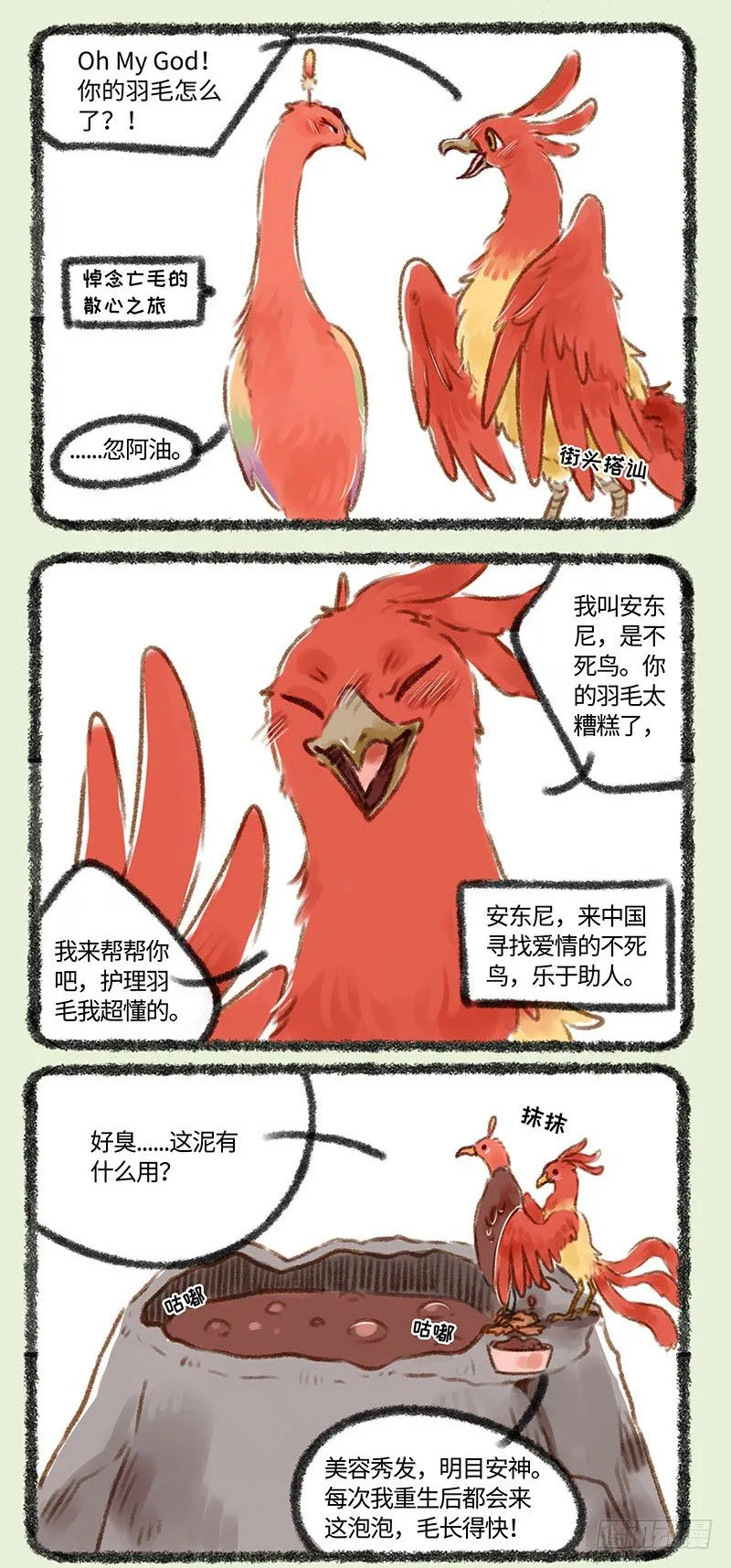 脱发者的福音！！ 第4页