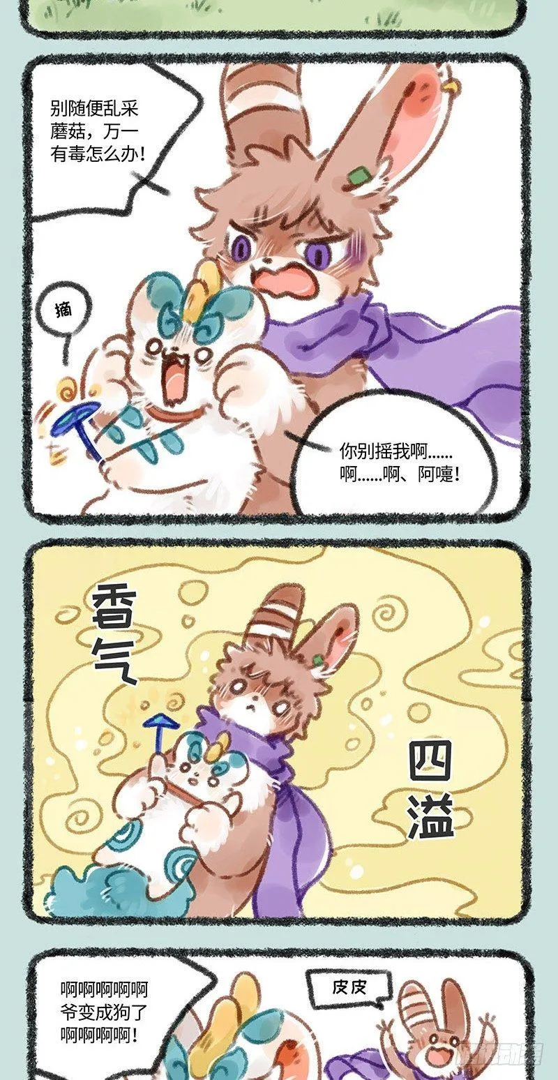 皮皮兔 第2页