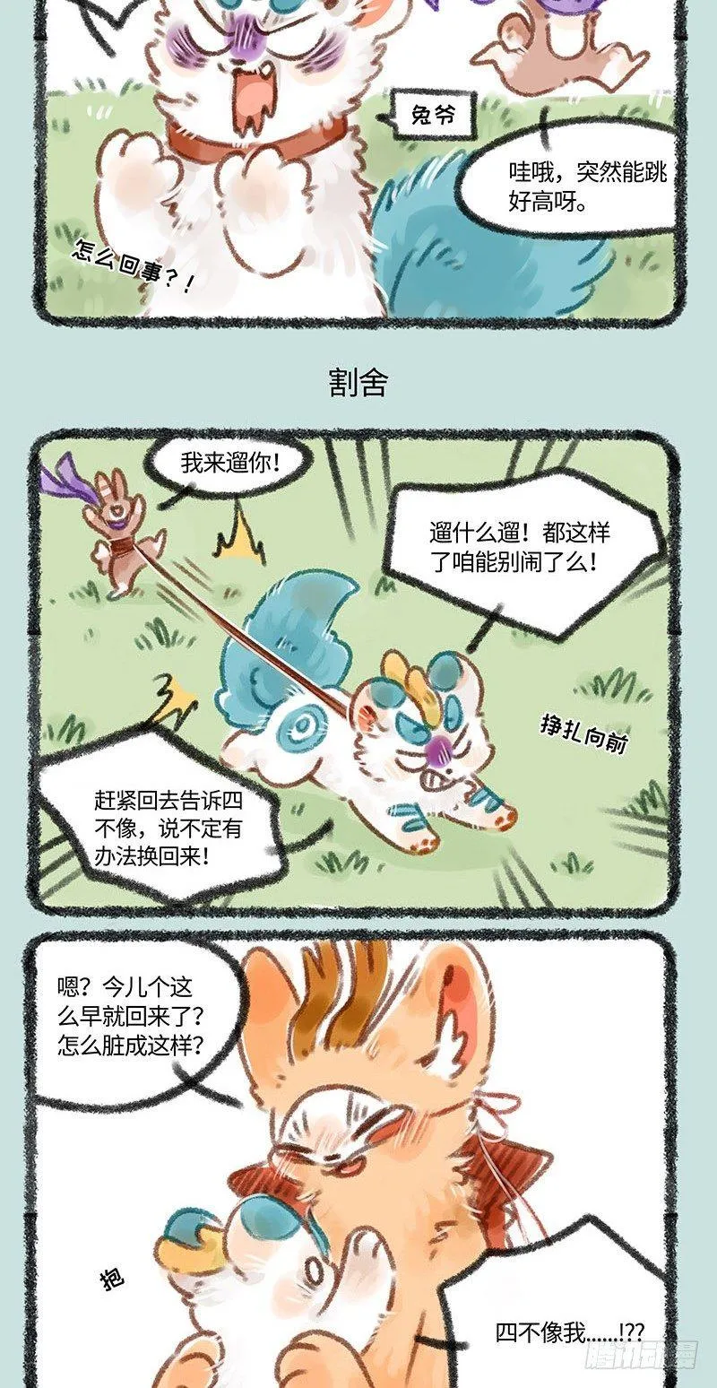 皮皮兔 第3页