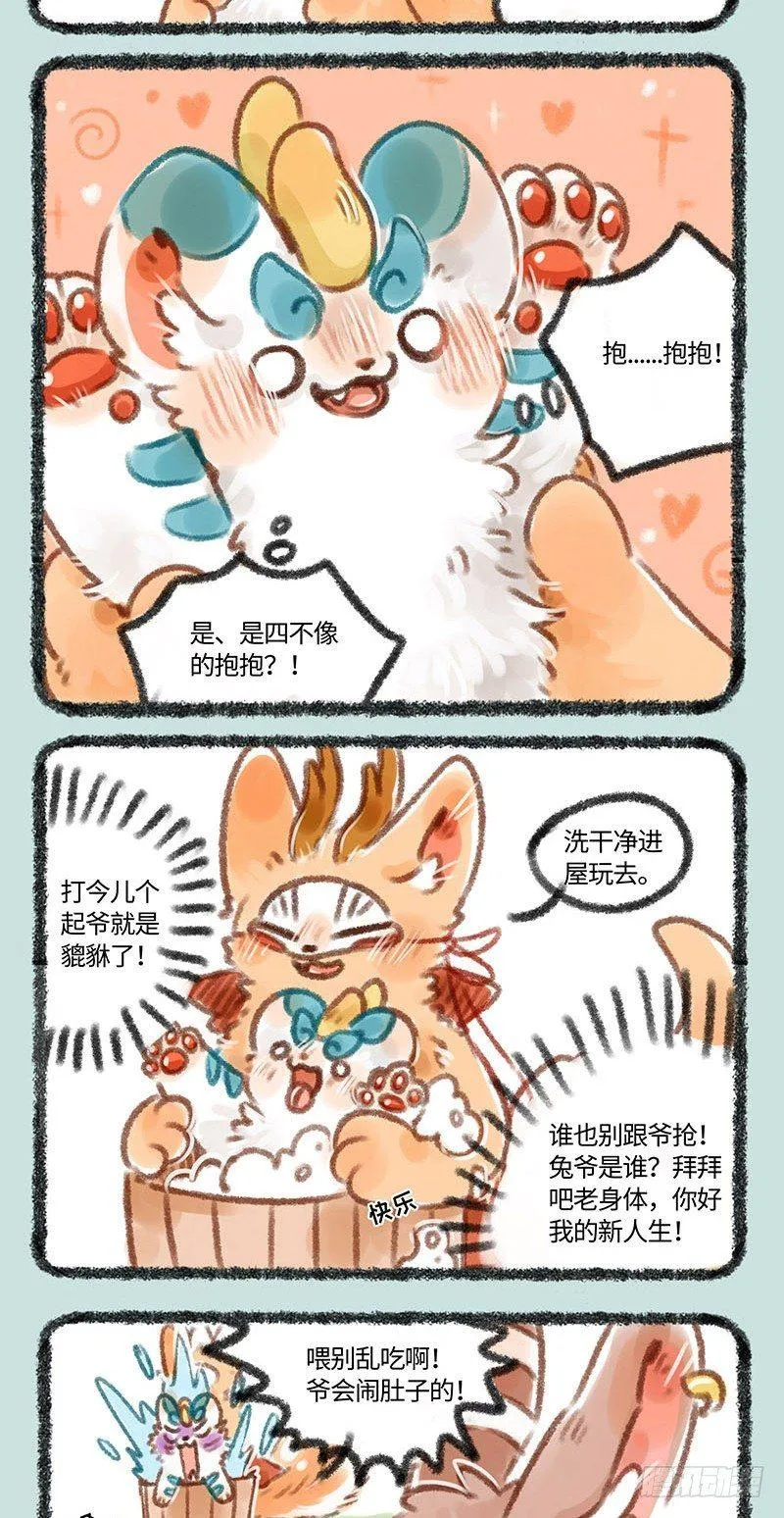 皮皮兔 第4页