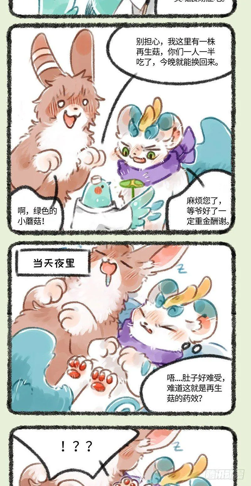 兔兔皮 第4页