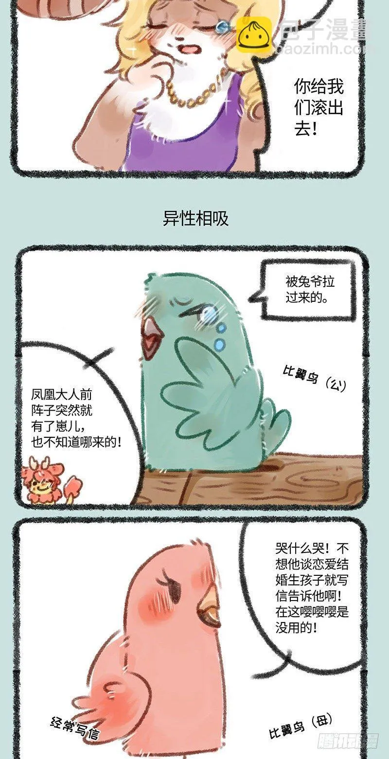 雌性神兽话题，雄性勿入 第3页
