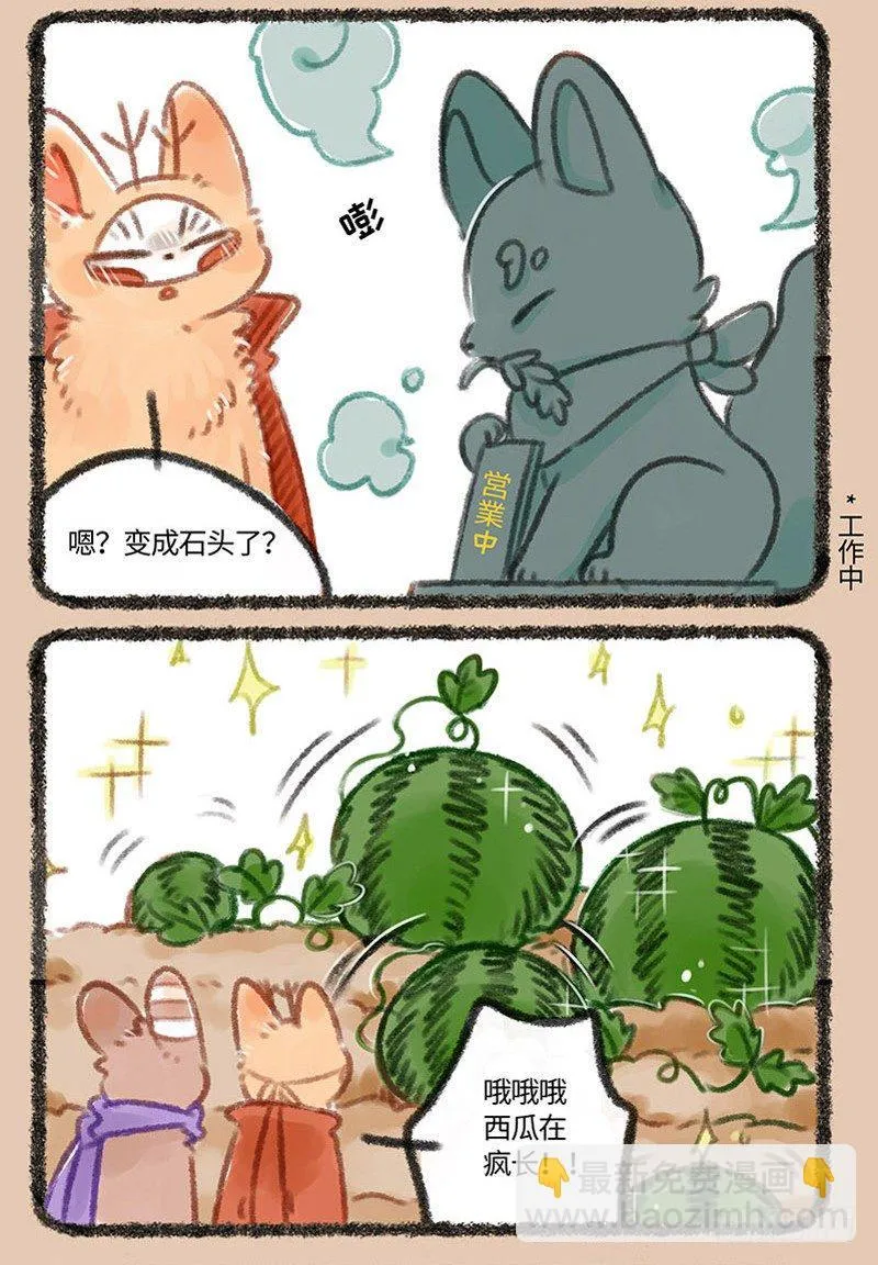 再也不是你们最爱的崽 第4页
