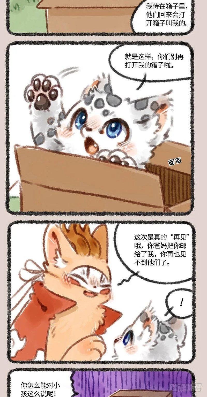 又一只神兽宝宝来啦！ 第4页