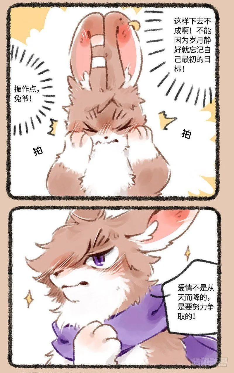 帅气兔兔，在线健身 第2页