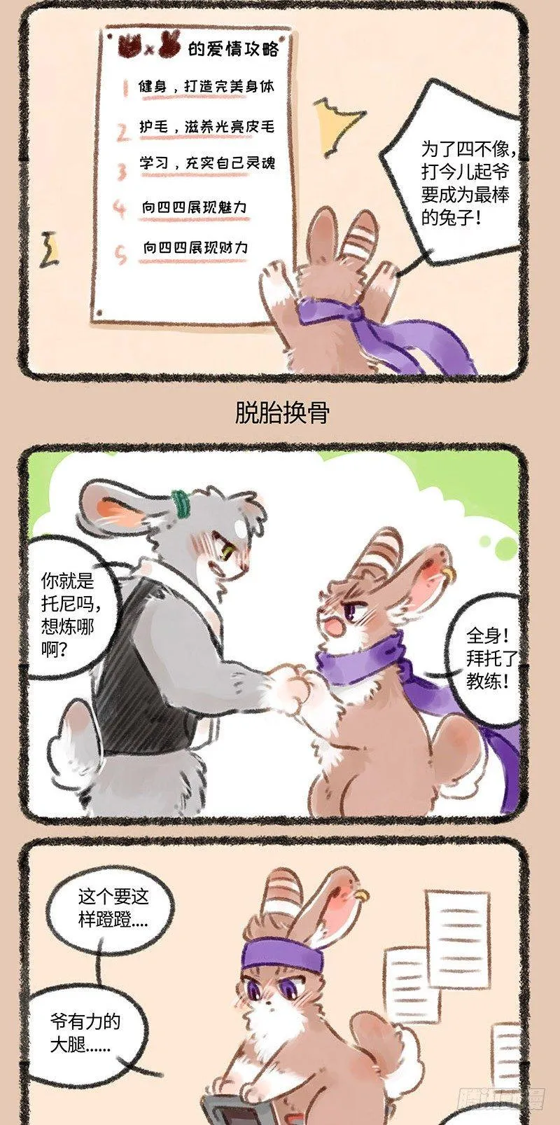 帅气兔兔，在线健身 第3页