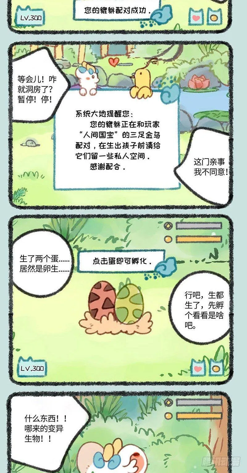神兽饲养之皮皮篇 第4页