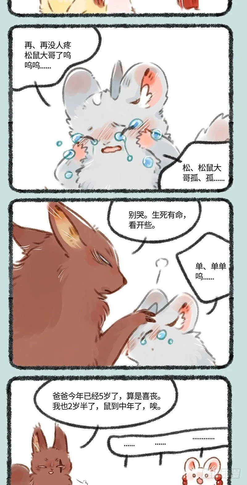 神兽和妖精 第4页