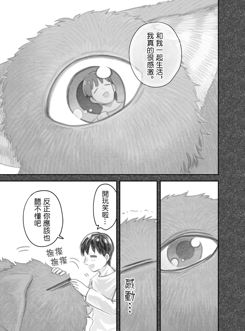 第43话 第13页