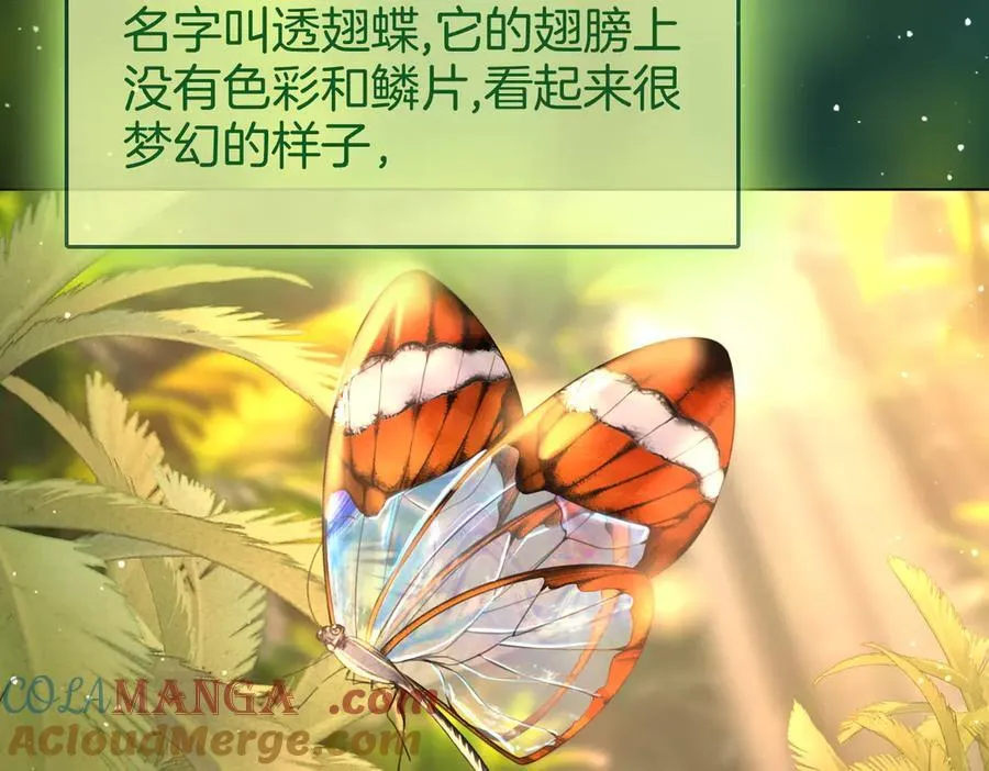 第146话 想见她 第7页
