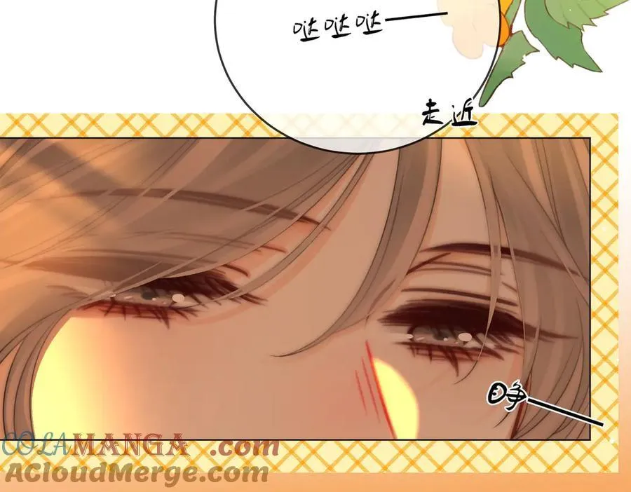 第150话 圆满 第13页
