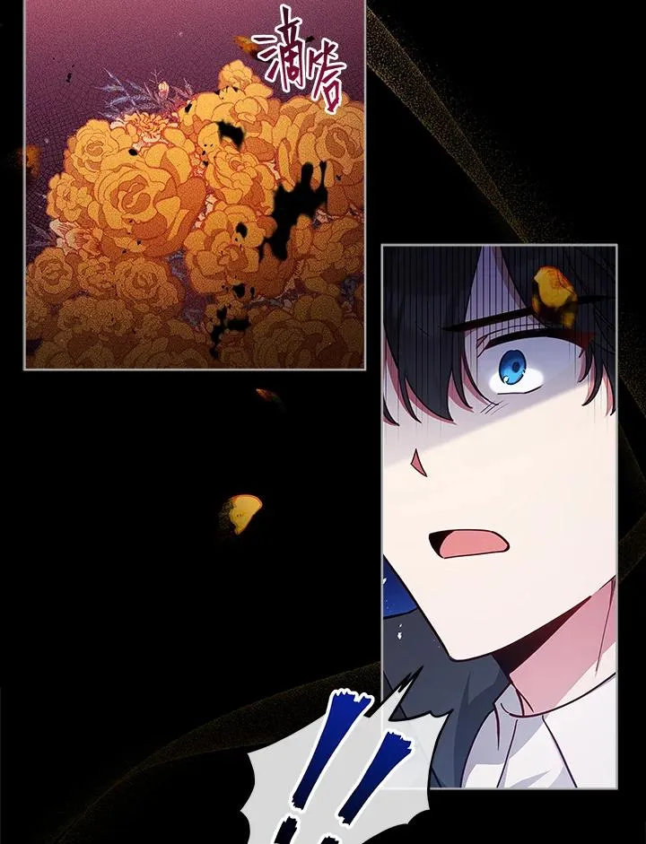 第44话 第5页
