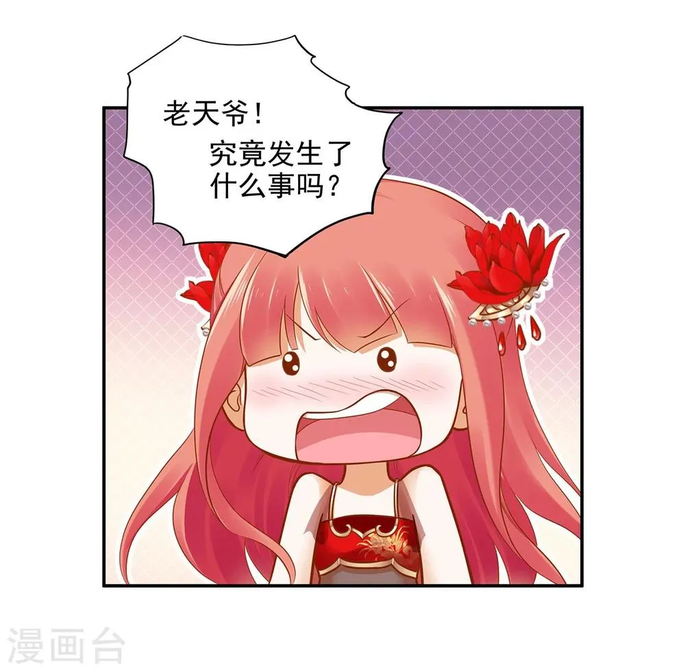 第16话 真是开窍了呀 第31页