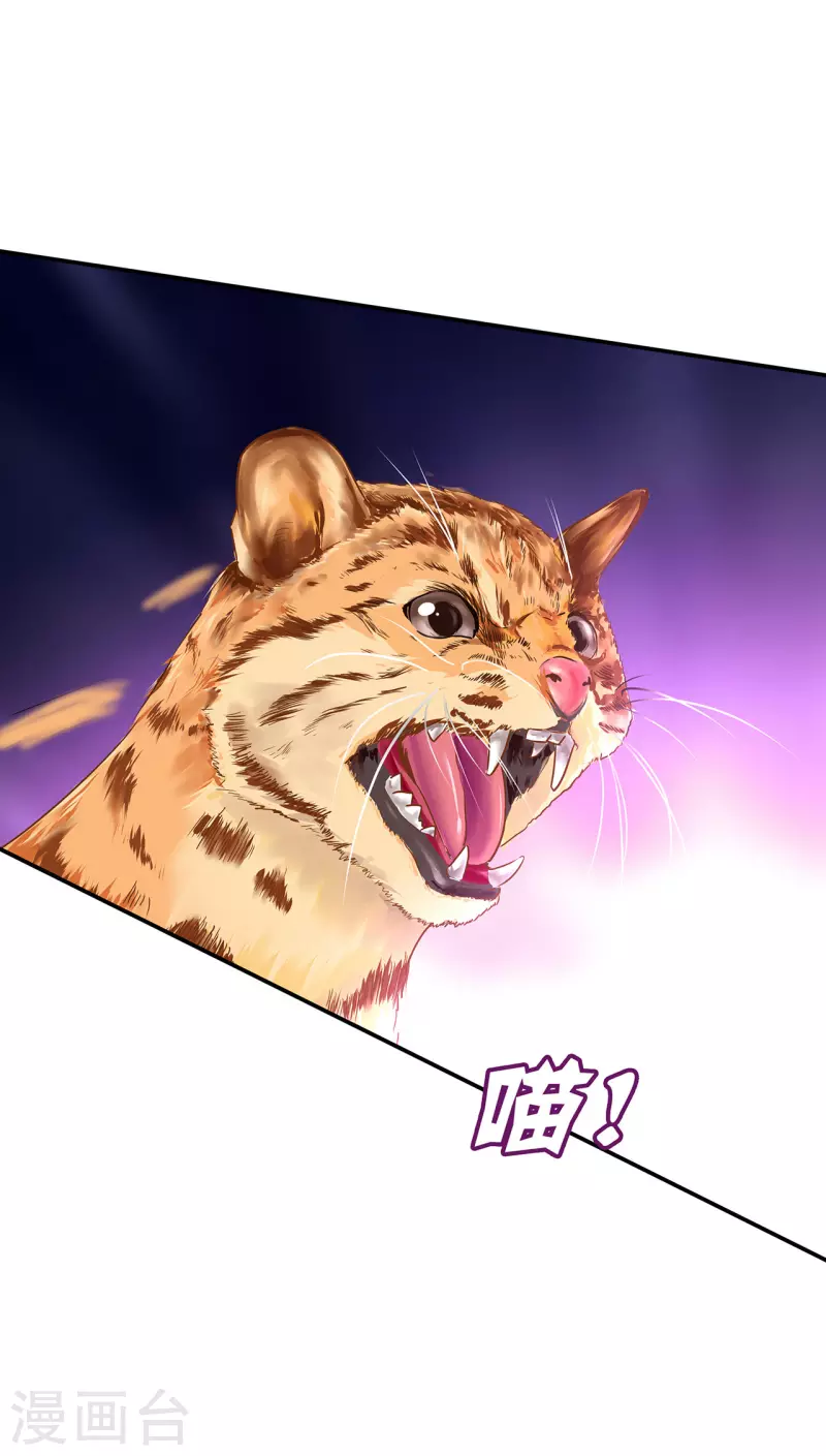 第235话 狸猫助战 第13页