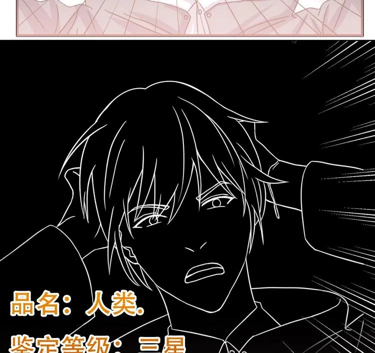 第3话 沾血的油纸 第91页
