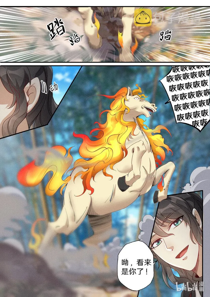 028 出门坐骑绿毛龟？ 第14页