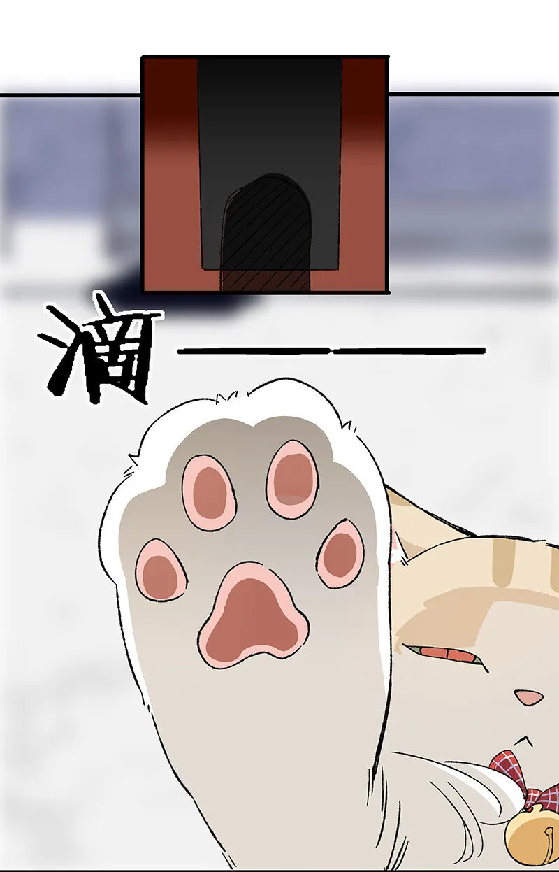 12 领取装备吧，新人！ 第15页