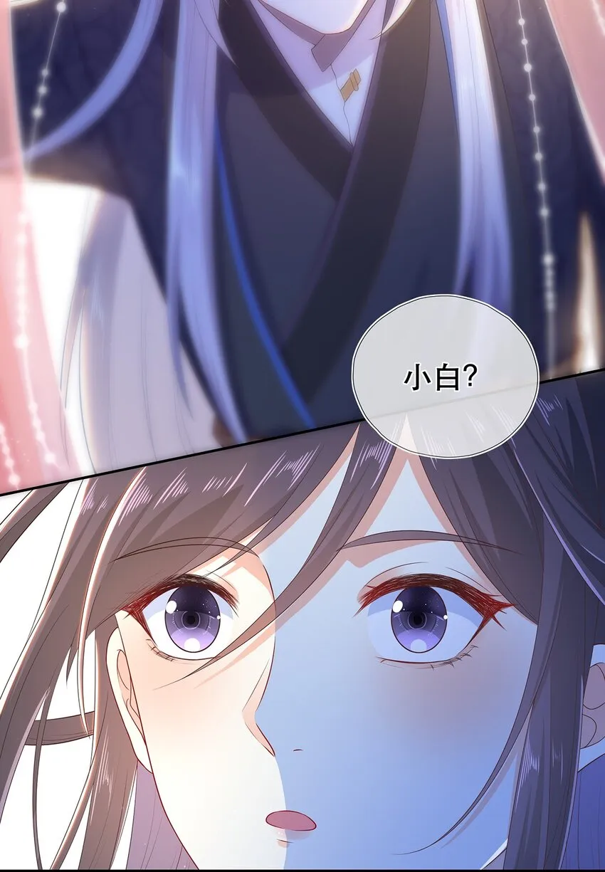 第31话 我家煤球初长成 第40页