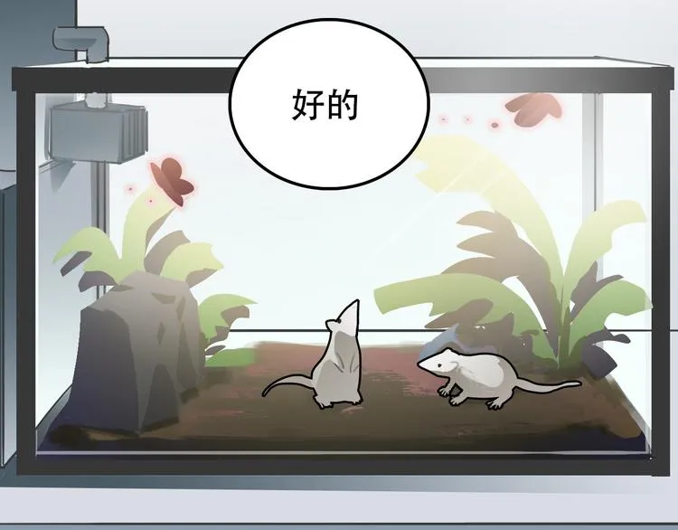第27话 理由 第2页